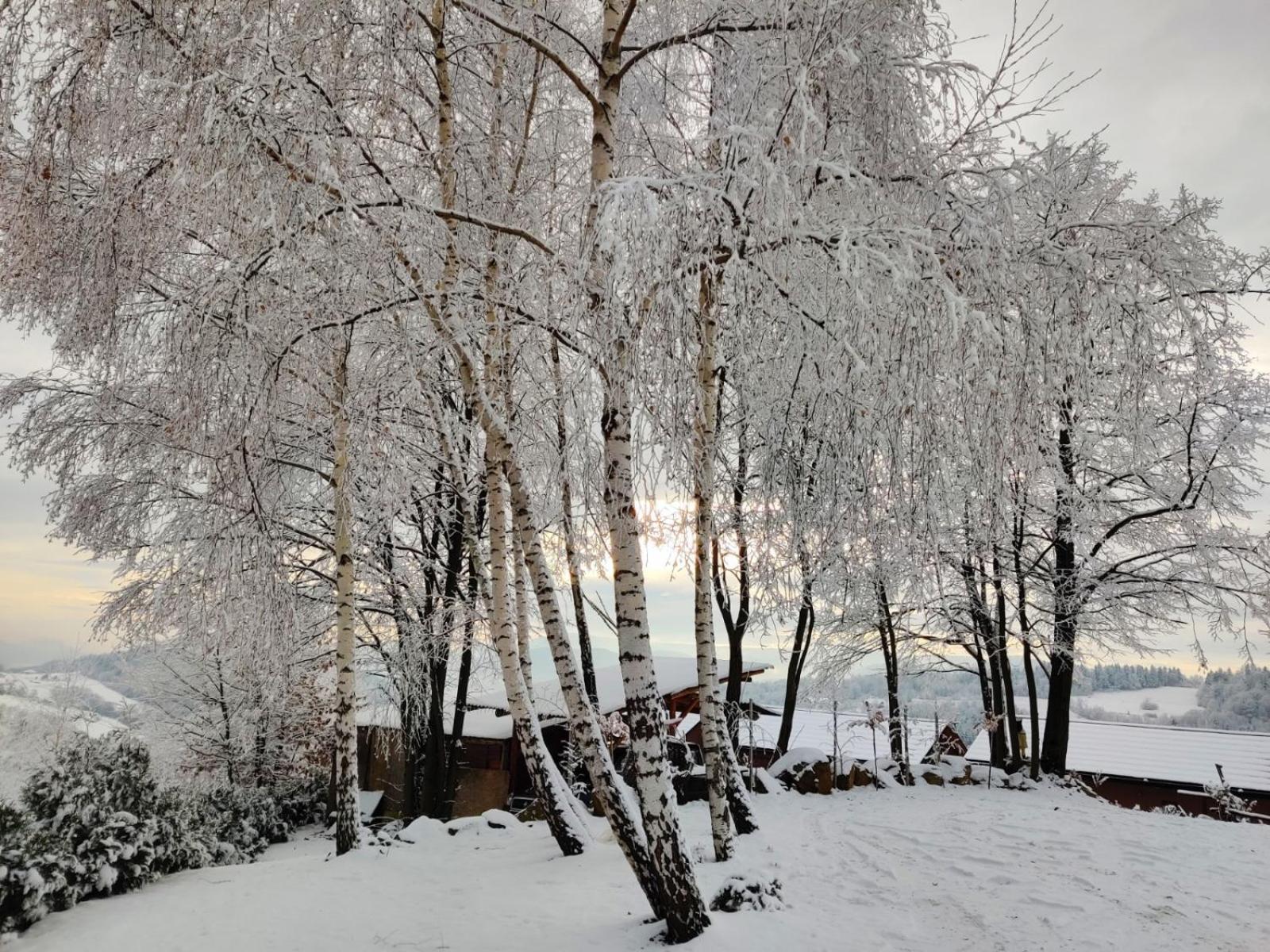 Agroturystyka Faron Rozdziele Esterno foto