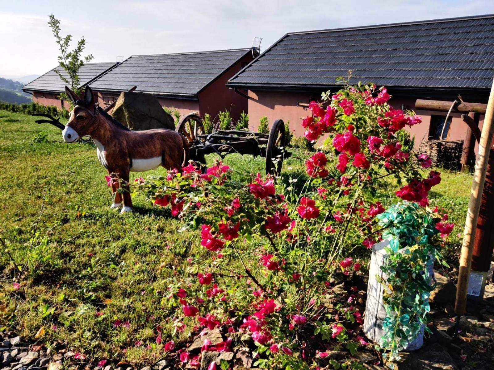 Agroturystyka Faron Rozdziele Esterno foto