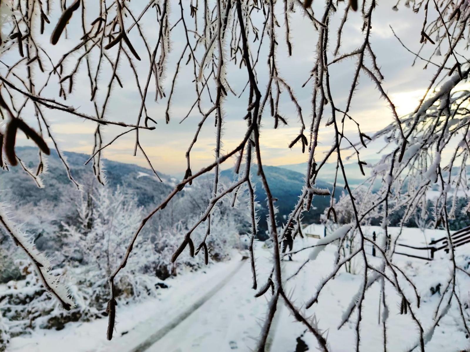 Agroturystyka Faron Rozdziele Esterno foto